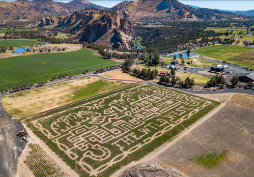 Aerial view of a large corn maze design in a rural landscape, surrounded by mountains and fields.
