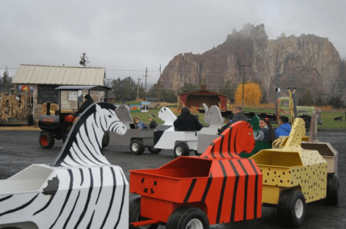 Colorful animal-themed wagons lined up at a farm, with a rocky mountain backdrop and visitors enjoying the scene.