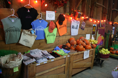 Display of colorful t-shirts and bags on a wooden wall, with pumpkins and apples in wooden bins, decorated with lights.