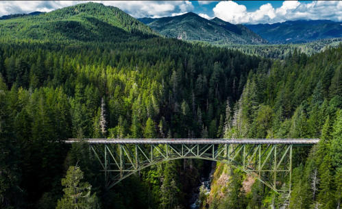 Aerial view of a green bridge spanning a forested valley, surrounded by mountains and lush trees under a blue sky.