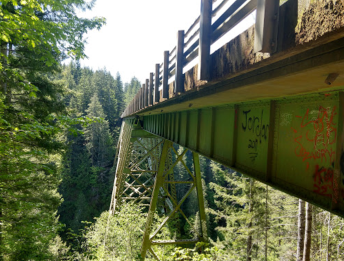 A view of a weathered metal bridge above a dense forest, with graffiti on the support beams and sunlight filtering through the trees.