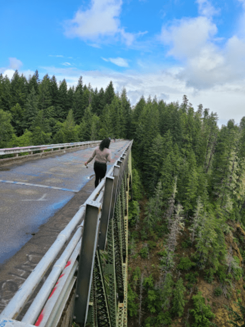 A person walks along the edge of a bridge surrounded by tall trees and a blue sky with clouds.