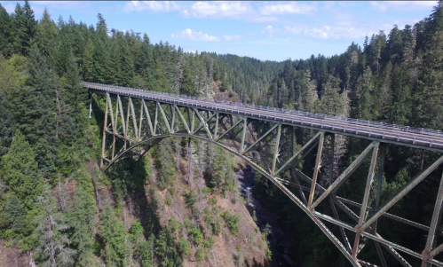 Aerial view of a tall metal bridge spanning a lush green forested valley under a blue sky with scattered clouds.