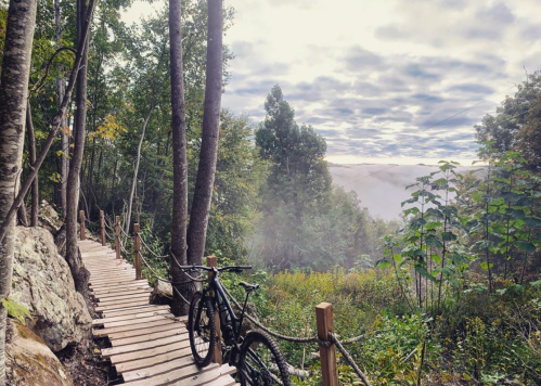 A wooden path through trees with a bike parked beside it, overlooking a misty valley under a cloudy sky.