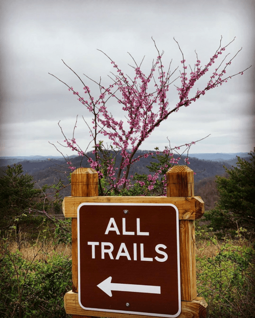 A wooden sign reading "ALL TRAILS" points left, with a flowering tree and a cloudy landscape in the background.