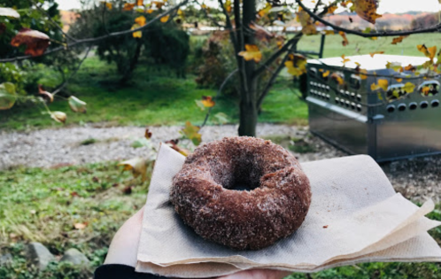 A hand holds a cinnamon sugar donut on a napkin, with a tree and grassy field in the background.