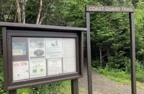 Sign for Coast Guard Trail with a bulletin board displaying information, surrounded by greenery.