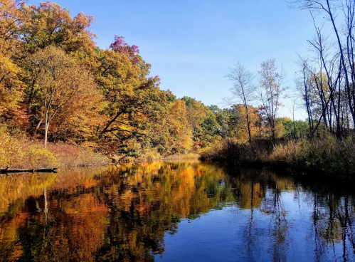 A serene autumn scene with colorful trees reflecting in a calm river under a clear blue sky.