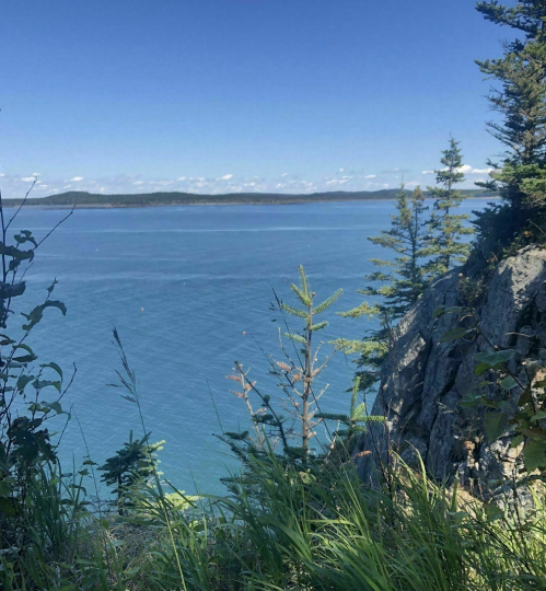 A serene coastal view with clear blue water, distant hills, and greenery in the foreground under a bright sky.