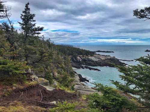 A coastal landscape featuring rocky shores, lush greenery, and a cloudy sky over the ocean.