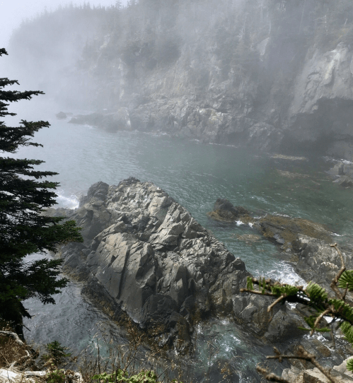 Foggy coastal scene with rocky shoreline and calm waters, surrounded by lush greenery and cliffs.