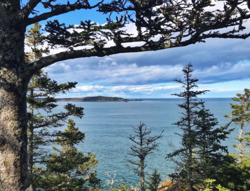 A serene coastal view framed by trees, showcasing calm waters and distant land under a partly cloudy sky.
