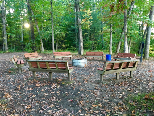 A circular arrangement of wooden benches around a fire pit in a wooded area with autumn foliage.