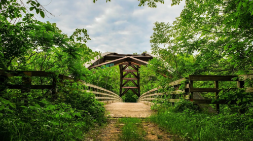A wooden bridge surrounded by lush greenery, leading to a metal structure under a cloudy sky.