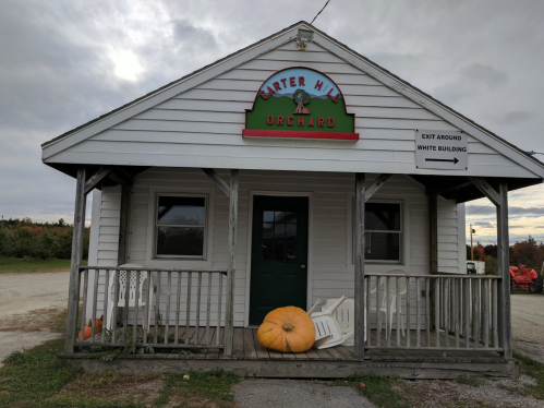 A small white building with a sign reading "Carter Hill Orchard" and a large pumpkin on the porch.