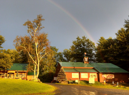 A red barn with a green roof surrounded by trees, with a rainbow arching over the scene after a rain shower.