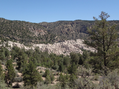 A scenic view of rugged mountains and green trees under a clear blue sky.