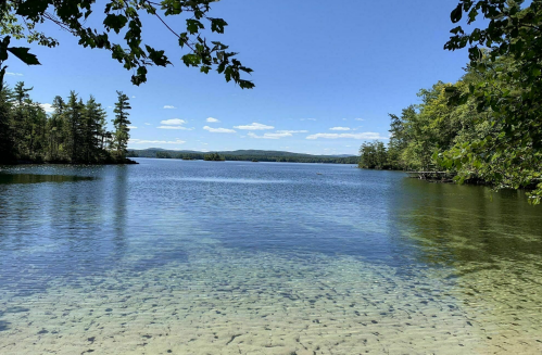 A serene lake surrounded by trees under a clear blue sky, with calm waters reflecting the landscape.
