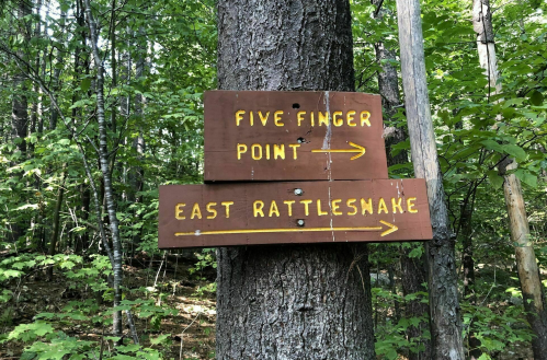 Wooden sign on a tree pointing left to "Five Finger Point" and right to "East Rattlesnake" in a forested area.