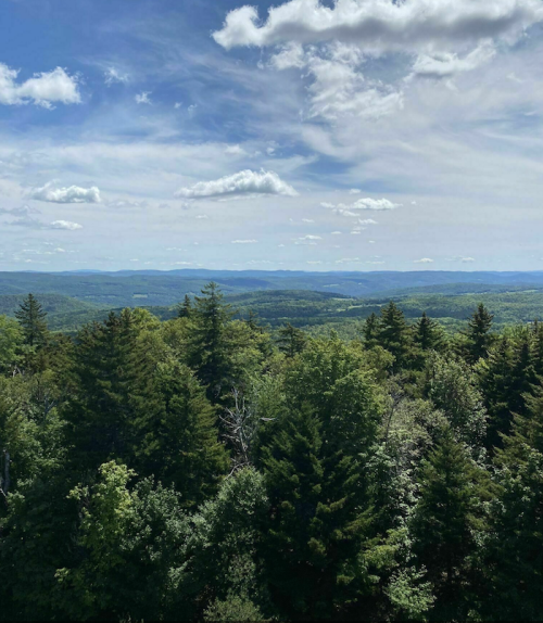 A panoramic view of lush green forests and rolling hills under a partly cloudy sky.