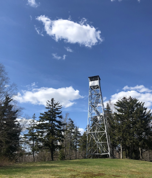 A tall metal fire tower stands against a blue sky with fluffy clouds, surrounded by green trees and grass.