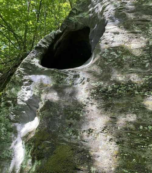 A large, weathered rock with a hollowed-out section, surrounded by green foliage and dappled sunlight.