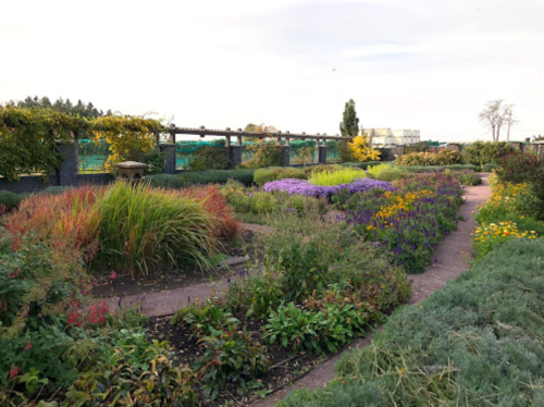 A vibrant garden with colorful flowers, lush greenery, and a winding path under a clear sky.