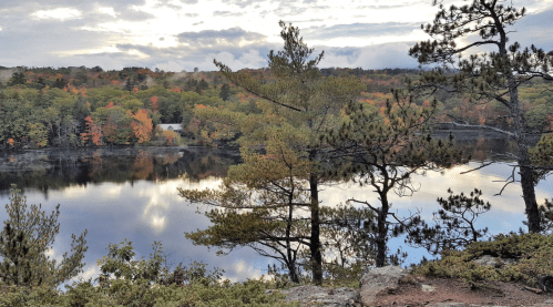 Scenic view of a calm lake surrounded by colorful autumn trees and a cloudy sky.