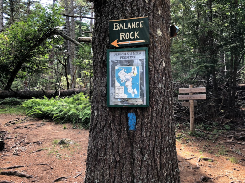 A tree with a sign pointing to Balance Rock and a map of Fernald's Neck Preserve in a wooded area.