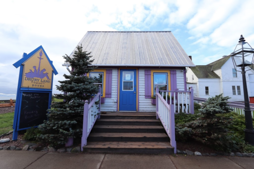 A colorful bookshop with a purple and blue exterior, surrounded by greenery and a signpost in front.