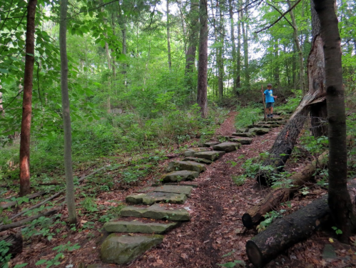 A person stands on a stone path in a lush green forest, surrounded by trees and foliage.