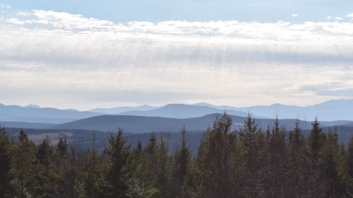 A scenic view of layered mountains under a cloudy sky, with evergreen trees in the foreground.
