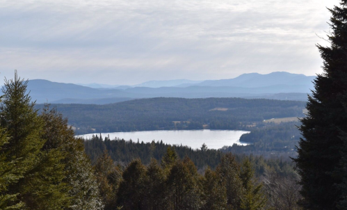 A serene landscape featuring a lake surrounded by forests and mountains under a cloudy sky.