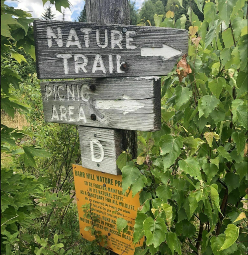 Wooden signpost with arrows pointing to "Nature Trail" and "Picnic Area," surrounded by greenery.
