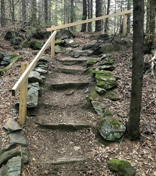 A forest trail with wooden steps and a railing, surrounded by trees and rocky terrain.