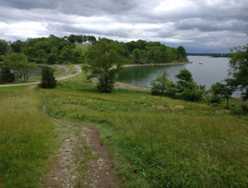 A scenic view of a grassy path leading to a calm lake, surrounded by trees under a cloudy sky.