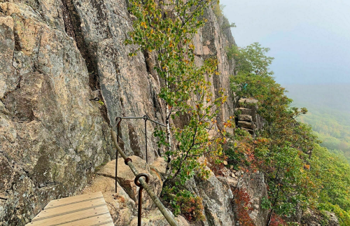 A rocky cliffside path with a railing, surrounded by trees and mist, showcasing a scenic mountainous landscape.