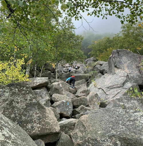 Hikers navigate a rocky terrain surrounded by trees and fog, creating a misty, adventurous atmosphere.