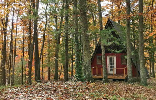 A small red cabin nestled among tall trees with vibrant autumn foliage surrounding it.