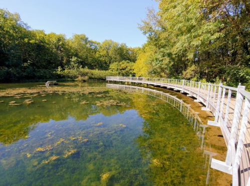 A wooden boardwalk curves over a calm, reflective pond surrounded by lush green trees.
