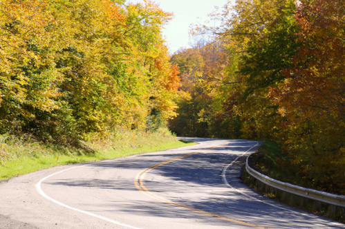 A winding road surrounded by vibrant autumn foliage in shades of orange and yellow.