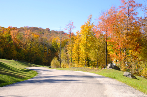 A winding road surrounded by vibrant autumn trees in shades of orange, yellow, and green under a clear blue sky.
