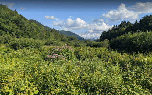 Lush green landscape with wildflowers, mountains in the background, and a blue sky dotted with clouds.