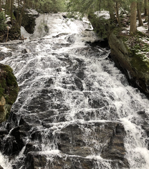A cascading waterfall flows over rocky terrain, surrounded by lush green trees in a serene forest setting.