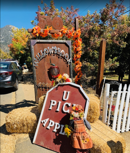 A rustic sign for Willowbrook with autumn decorations, hay bales, and a scarecrow, inviting visitors to pick apples.