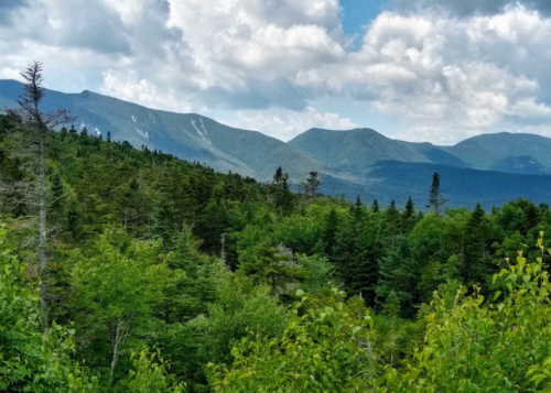 Lush green forest with mountains in the background under a partly cloudy sky.
