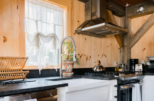 A cozy kitchen with wooden walls, a large window, and modern appliances, featuring a decorative plant and dish rack.