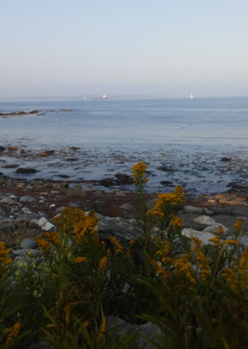 A serene coastal scene with yellow flowers in the foreground and a calm sea in the background, featuring distant boats.