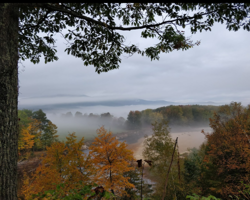 A misty landscape with autumn trees, mountains in the background, and a river partially obscured by fog.