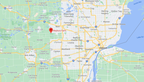 Map showing Maybury Farm location near Novi, Michigan, with surrounding areas and major roads highlighted.